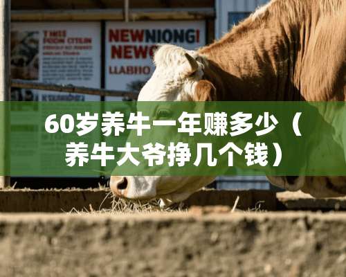 60岁养牛一年赚多少（养牛大爷挣几个钱）