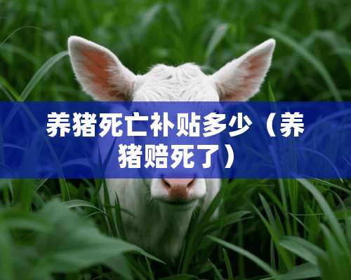 养猪死亡补贴多少（养猪赔死了）