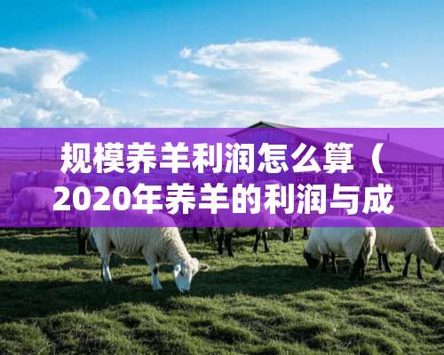 规模养羊利润怎么算（2020年养羊的利润与成本）