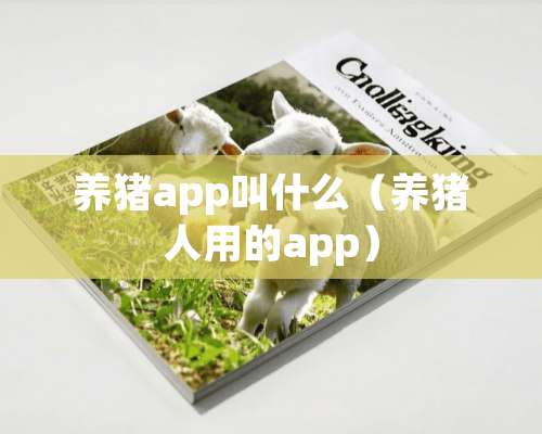 养猪app叫什么（养猪人用的app）