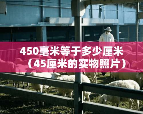 450毫米等于多少厘米（45厘米的实物照片）