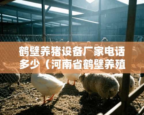 鹤壁养猪设备厂家电话多少（河南省鹤壁养殖设备厂）