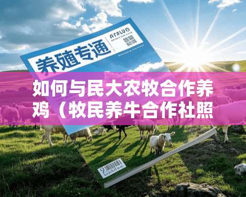 如何与民大农牧合作养鸡（牧民养牛合作社照）