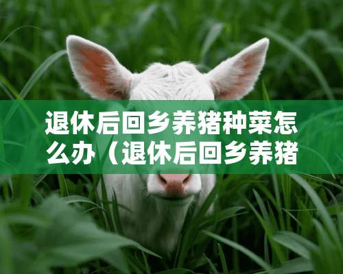 退休后回乡养猪种菜怎么办（退休后回乡养猪种菜怎么办理手续）