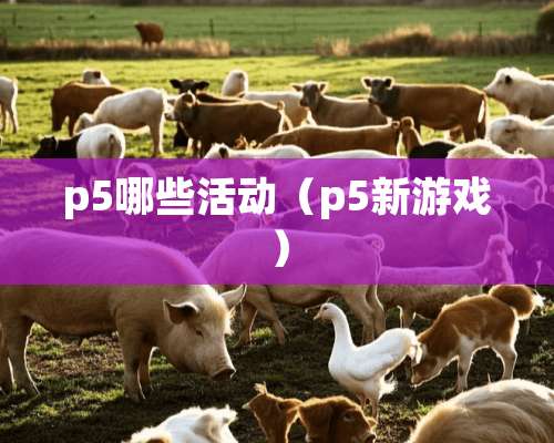 p5哪些活动（p5新游戏）