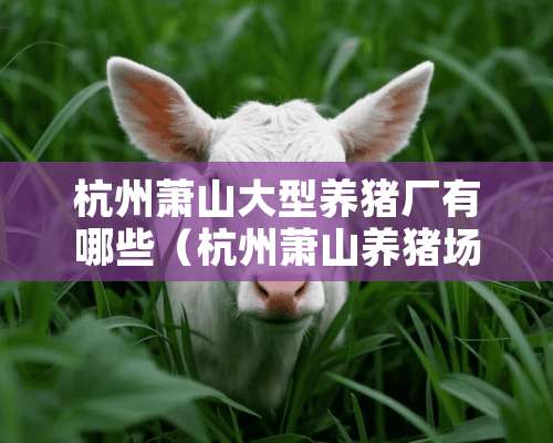 杭州萧山大型养猪厂有哪些（杭州萧山养猪场电话）