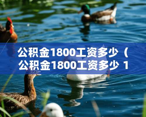 公积金1800工资多少（公积金1800工资多少 12%）