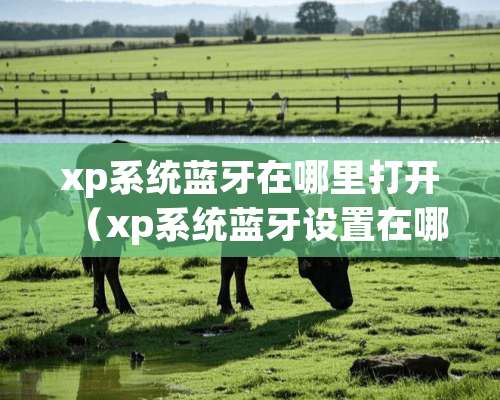 xp系统蓝牙在哪里打开（xp系统蓝牙设置在哪）