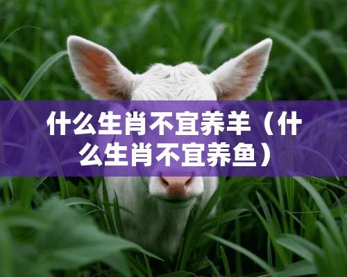 什么生肖不宜养羊（什么生肖不宜养鱼）