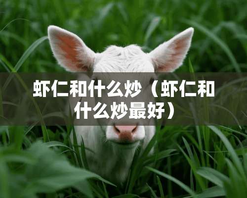 虾仁和什么炒（虾仁和什么炒最好）