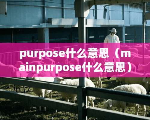 purpose什么意思（mainpurpose什么意思）