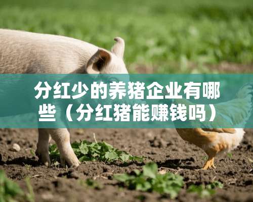 分红少的养猪企业有哪些（分红猪能赚钱吗）