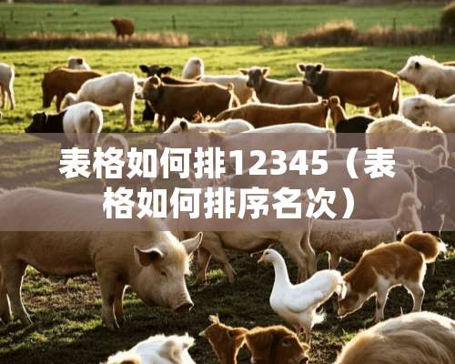 表格如何排12345（表格如何排序名次）