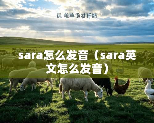 sara怎么发音（sara英文怎么发音）