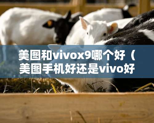 美图和vivox9哪个好（美图手机好还是vivo好）