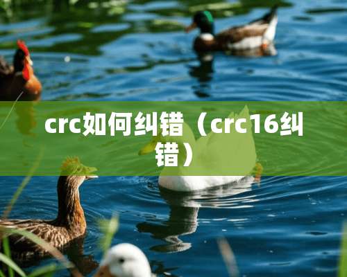 crc如何纠错（crc16纠错）