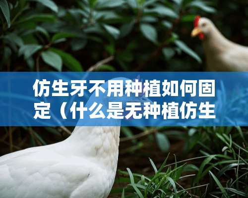 仿生牙不用种植如何固定（什么是无种植仿生牙）