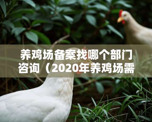 养鸡场备案找哪个部门咨询（2020年养鸡场需要办哪些证）