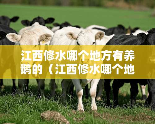 江西修水哪个地方有养鹅的（江西修水哪个地方有养鹅的厂）