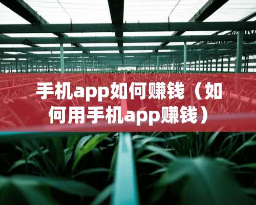 手机app如何赚钱（如何用手机app赚钱）