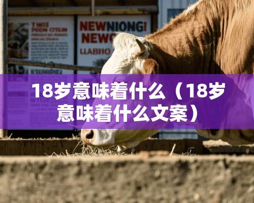 18岁意味着什么（18岁意味着什么文案）