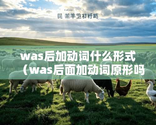 was后加动词什么形式（was后面加动词原形吗）