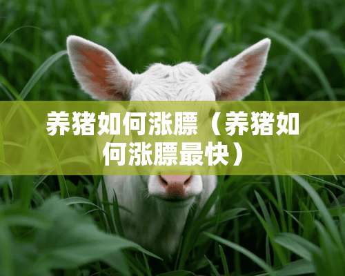 养猪如何涨膘（养猪如何涨膘最快）