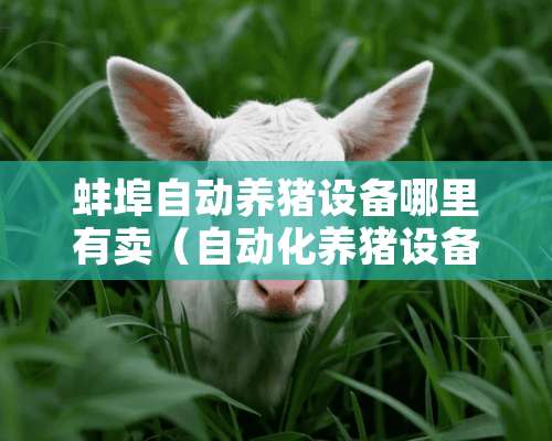 蚌埠自动养猪设备哪里有卖（自动化养猪设备厂家最大）