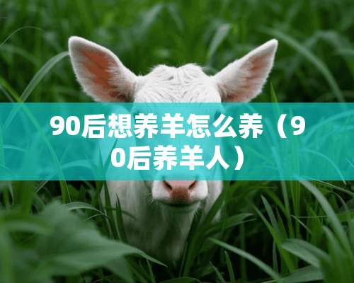 90后想养羊怎么养（90后养羊人）