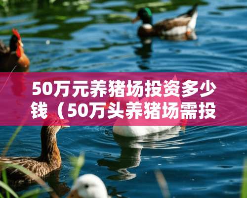 50万元养猪场投资多少钱（50万头养猪场需投资多少）