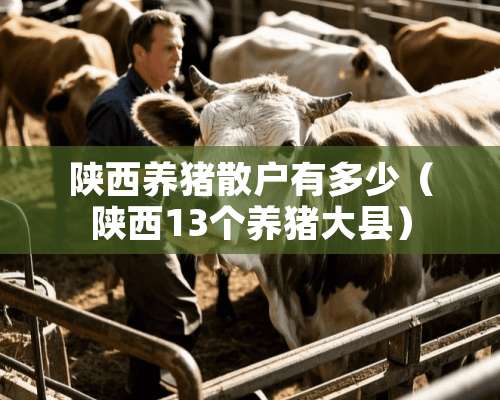 陕西养猪散户有多少（陕西13个养猪大县）