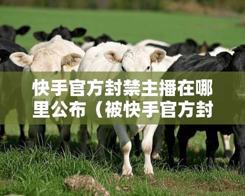 快手官方封禁主播在哪里公布（被快手官方封号的所有主播）