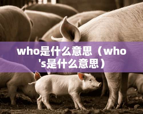 who是什么意思（who's是什么意思）