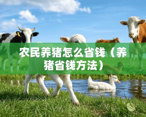 农民养猪怎么省钱（养猪省钱方法）