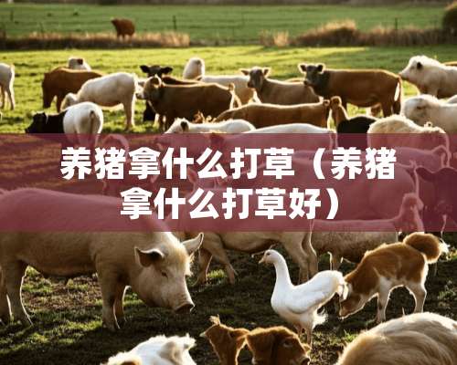 养猪拿什么打草（养猪拿什么打草好）