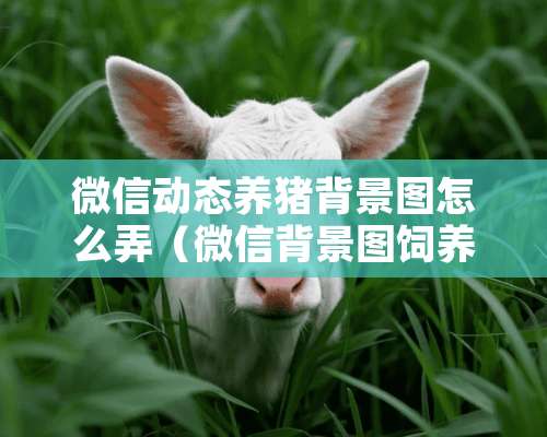 微信动态养猪背景图怎么弄（微信背景图饲养员猪圈）