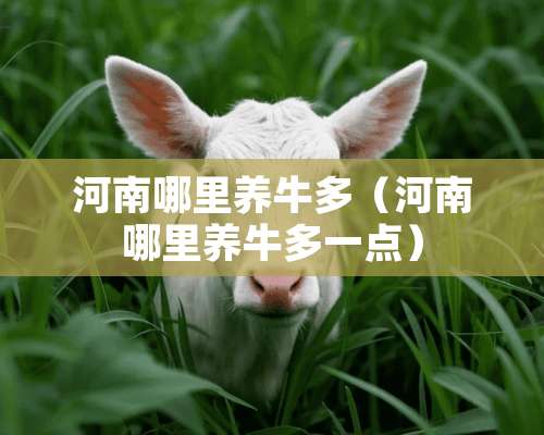 河南哪里养牛多（河南哪里养牛多一点）