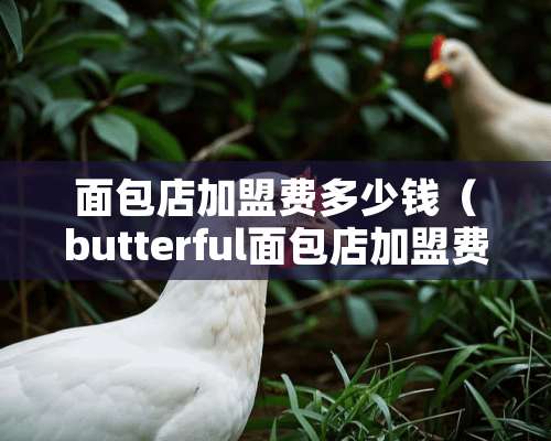 面包店加盟费多少钱（butterful面包店加盟费）