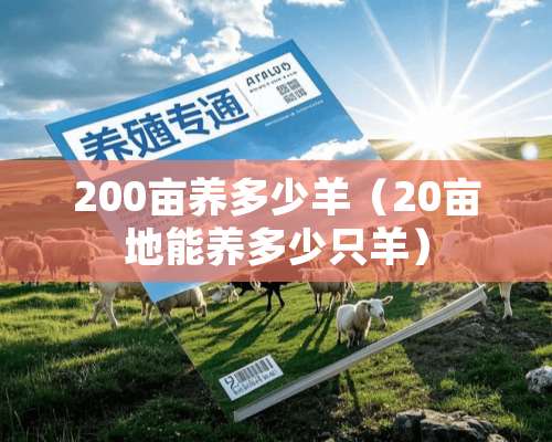 200亩养多少羊（20亩地能养多少只羊）