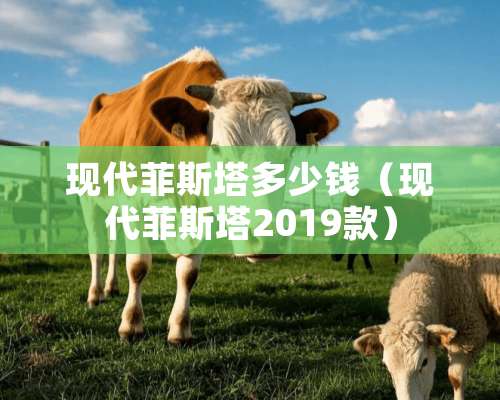 现代菲斯塔多少钱（现代菲斯塔2019款）