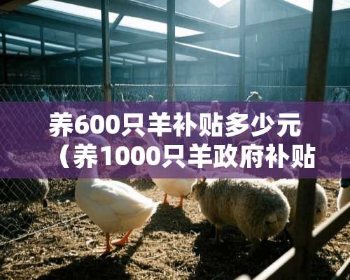 养600只羊补贴多少元（养1000只羊政府补贴多少）