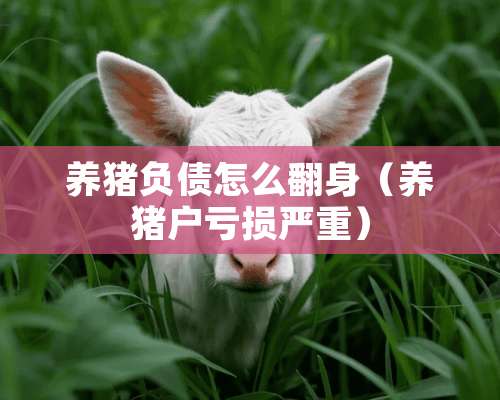 养猪负债怎么翻身（养猪户亏损严重）