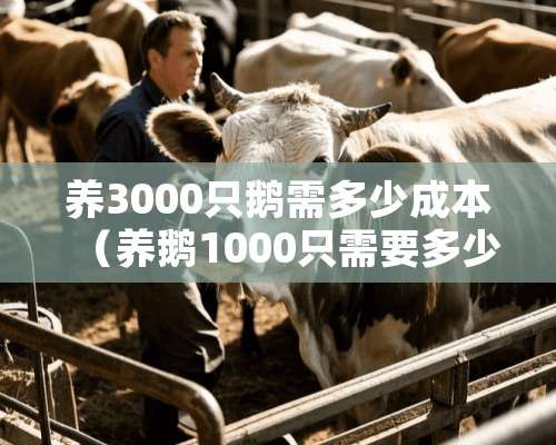 养3000只鹅需多少成本（养鹅1000只需要多少钱）