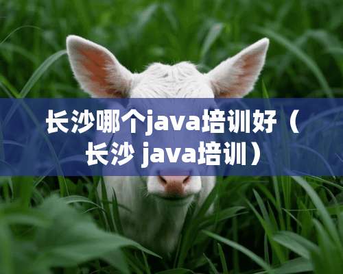 长沙哪个java培训好（长沙 java培训）