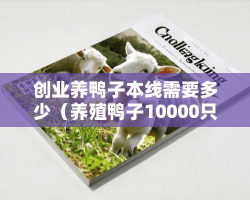 创业养鸭子本线需要多少（养殖鸭子10000只成本）