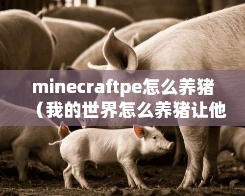 minecraftpe怎么养猪（我的世界怎么养猪让他自己吃东西）