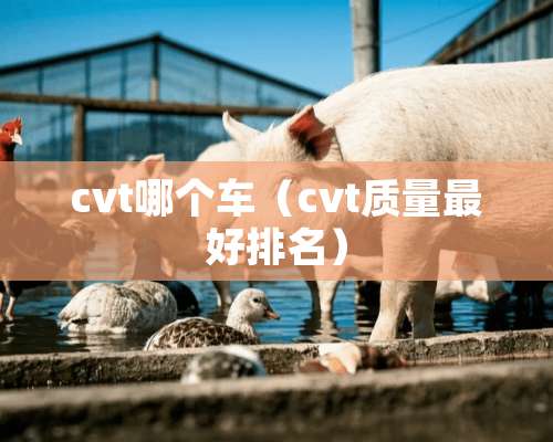 cvt哪个车（cvt质量最好排名）