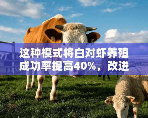 这种模式将白对虾养殖成功率提高40%，改进后还有提高空间！