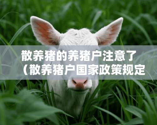 散养猪的养猪户注意了（散养猪户国家政策规定）