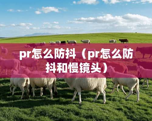 pr怎么防抖（pr怎么防抖和慢镜头）